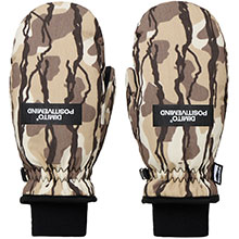 ��ǰ ������