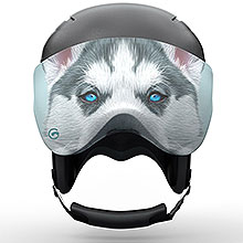 ��ǰ ������